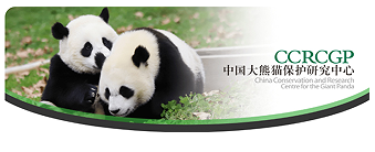 大熊貓中心小程序H5